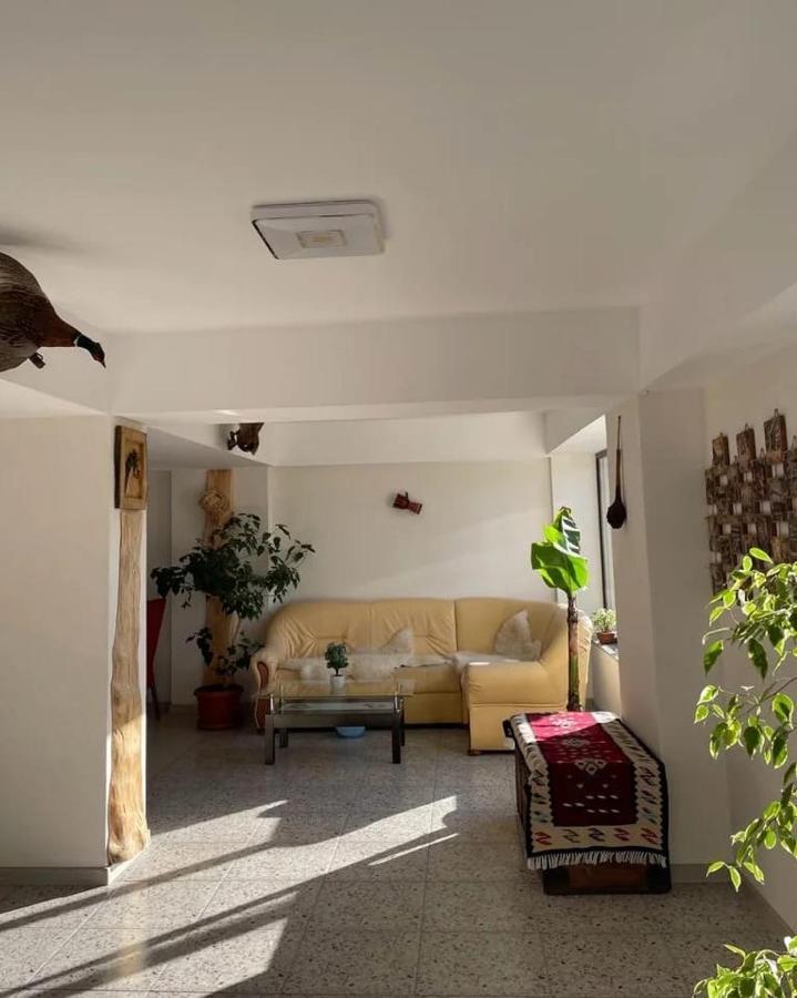 Casa De Vacanta Clara Maria Comarnic Luaran gambar